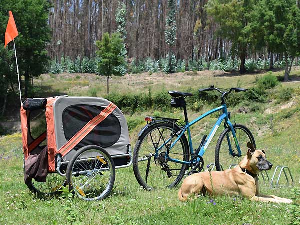 Bike + dog trailer