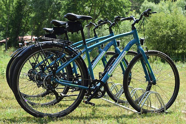 Standard Bikes - Orbea