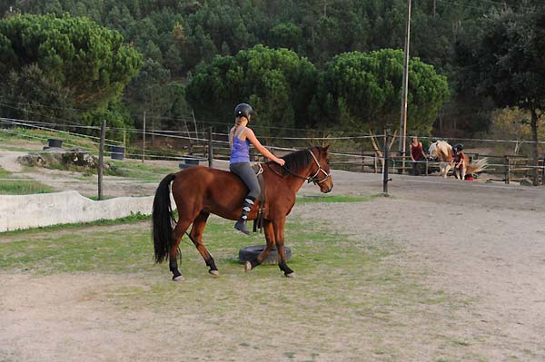 Paardrijden Tábua, Midões