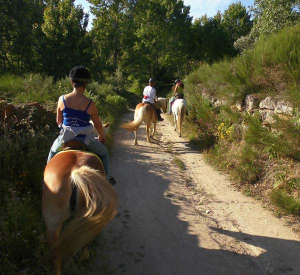 Quinta da Alegria, Portugal by Horse, Midões- Tábua