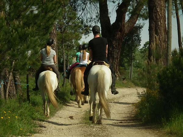 Trail riding Quinta da Alegria - Portugal by Horse
